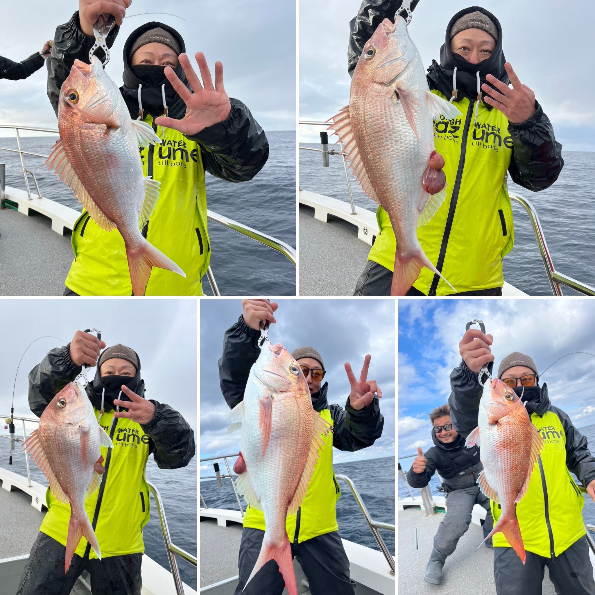 40074F62-B060-4D61-9314-2AD151B5E7FB