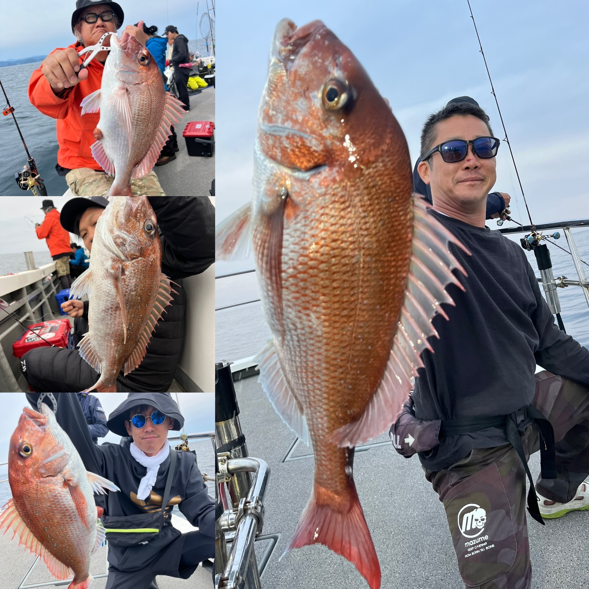 75B86DC4-027D-4526-9923-84F817E5C8E9